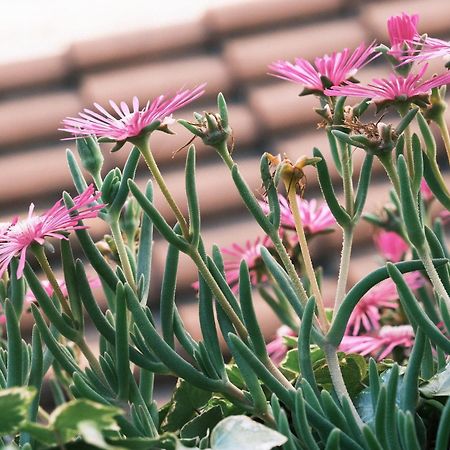 Comecasa Flowery Terraced Apartment Milan Exterior photo